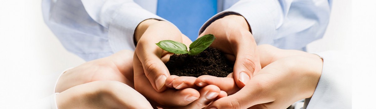 Engenharia Ambiental e Planejamento